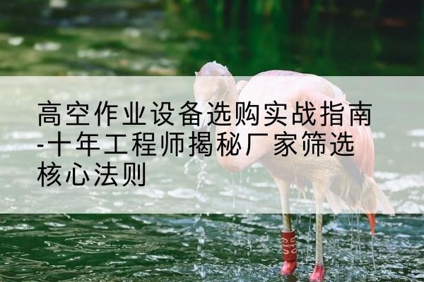乐东剪叉式升降机厂家-高空作业设备选购实战指南-十年工程师揭秘厂家筛选核心法则