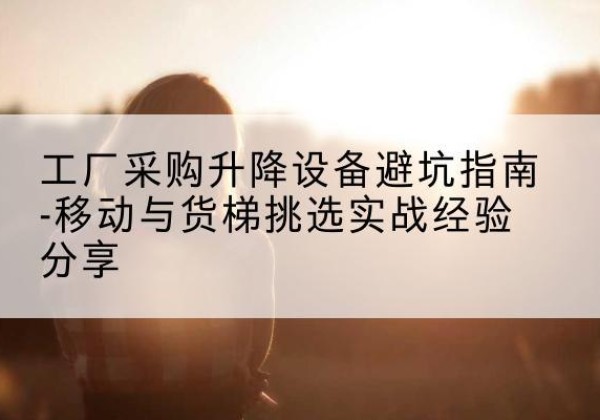 乐东移动式升降机怎么选-工厂采购升降设备避坑指南-移动与货梯挑选实战经验分享