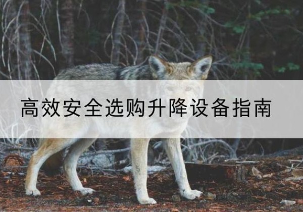 乐东升降货梯厂家推荐-*安全选购升降设备指南