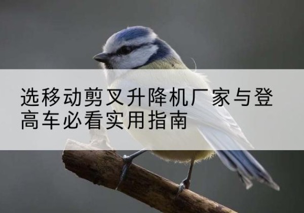 乐东电动升降机厂家-选移动剪叉升降机厂家与登高车必看实用指南