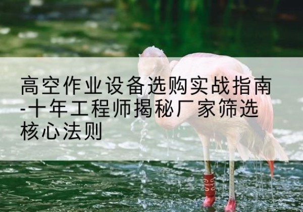 乐东剪叉式升降机厂家-高空作业设备选购实战指南-十年工程师揭秘厂家筛选核心法则